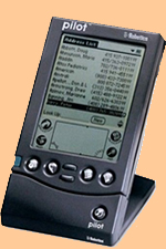 Palm