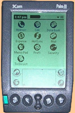 Palm