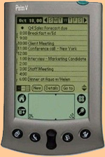 Palm