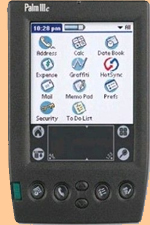 Palm