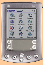 Palm