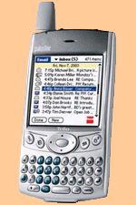 Palm