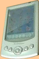 Palm