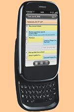 Palm