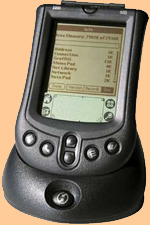 Palm
