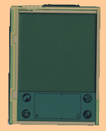 Palm