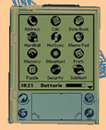 Palm