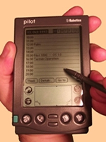 Palm