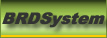 System